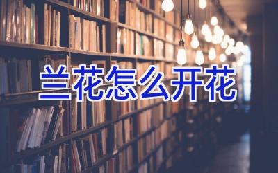 兰花怎么开花插图
