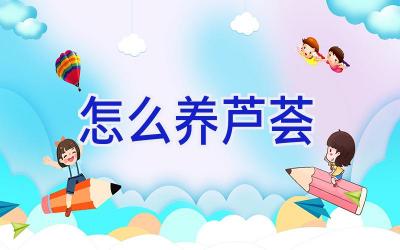 怎么养芦荟插图 怎么养芦荟插图