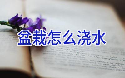 盆栽怎么浇水插图 盆栽怎么浇水插图