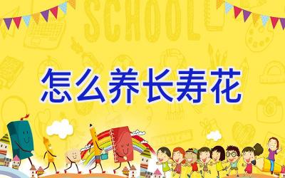 怎么养长寿花插图