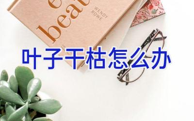 叶子干枯怎么办插图 叶子干枯怎么办插图