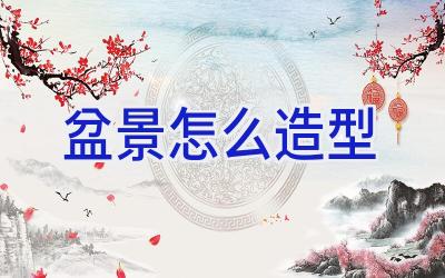 盆景怎么造型插图 盆景怎么造型插图