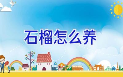 石榴怎么养插图