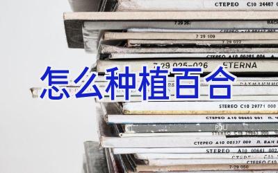 怎么种植百合插图 怎么种植百合插图