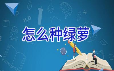 怎么种绿萝插图