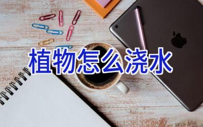 植物怎么浇水插图