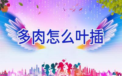 多肉怎么叶插插图