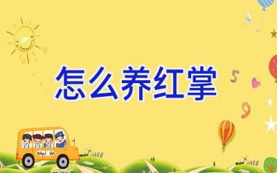 怎么养红掌插图 怎么养红掌插图