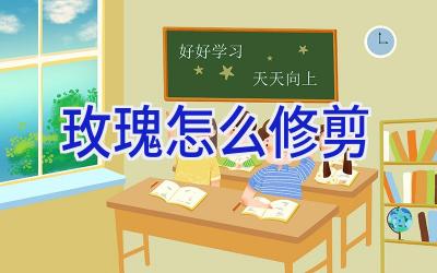 玫瑰怎么修剪插图