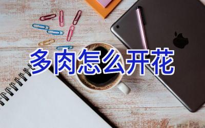 多肉怎么开花插图 多肉怎么开花插图