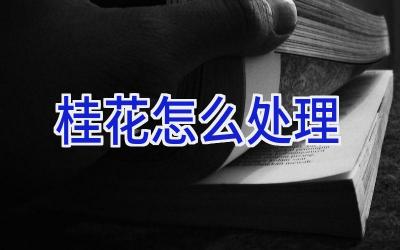 桂花怎么处理插图 桂花怎么处理插图