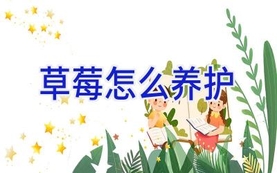 草莓怎么养护插图 草莓怎么养护插图