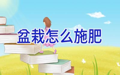 盆栽怎么施肥插图