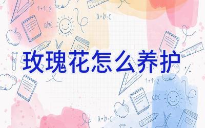 玫瑰花怎么养护插图 玫瑰花怎么养护插图