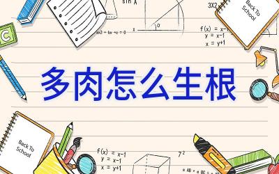 多肉怎么生根插图 多肉怎么生根插图