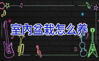 室内盆栽怎么养插图 室内盆栽怎么养插图