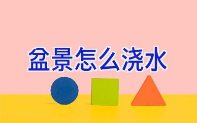 盆景怎么浇水插图 盆景怎么浇水插图