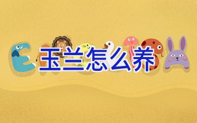 玉兰怎么养插图 玉兰怎么养插图