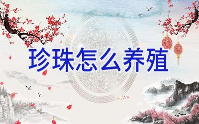 珍珠怎么养殖插图
