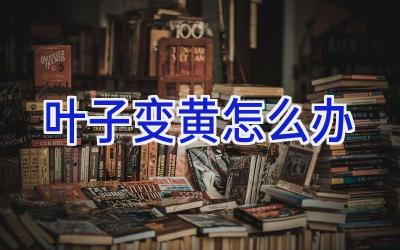 叶子变黄怎么办插图