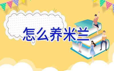 怎么养米兰插图