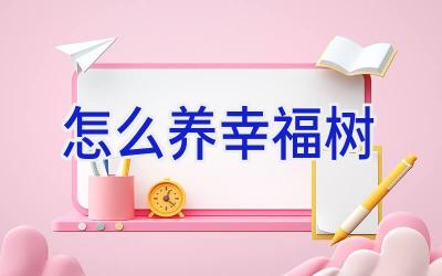 怎么养幸福树插图