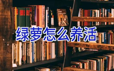 绿萝怎么养活插图 绿萝怎么养活插图