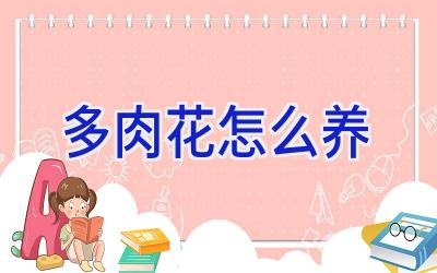 多肉花怎么养插图