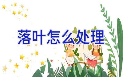 落叶怎么处理插图