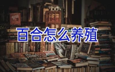 百合怎么养殖插图 百合怎么养殖插图