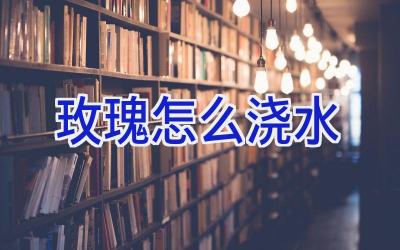 玫瑰怎么浇水插图