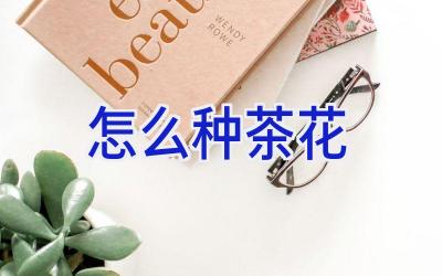 怎么种茶花插图