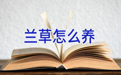 兰草怎么养插图