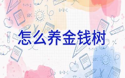 怎么养金钱树插图 怎么养金钱树插图