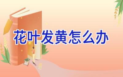 花叶发黄怎么办插图 花叶发黄怎么办插图