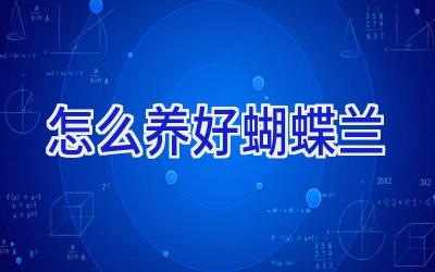 怎么养好蝴蝶兰插图 怎么养好蝴蝶兰插图