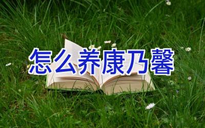 怎么养康乃馨插图 怎么养康乃馨插图