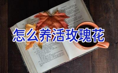 怎么养活玫瑰花插图