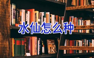 水仙怎么种插图