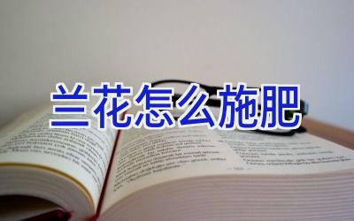 兰花怎么施肥插图 兰花怎么施肥插图