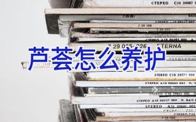 芦荟怎么养护插图