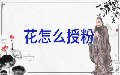 花怎么授粉插图 花怎么授粉插图