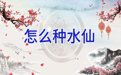 怎么种水仙插图 怎么种水仙插图