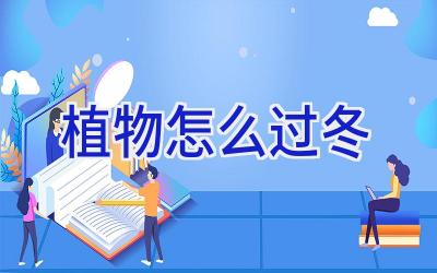 植物怎么过冬插图 植物怎么过冬插图