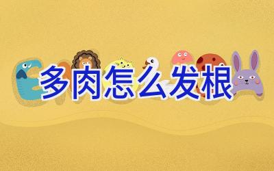 多肉怎么发根插图