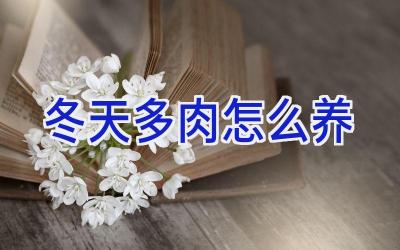 冬天多肉怎么养插图 冬天多肉怎么养插图