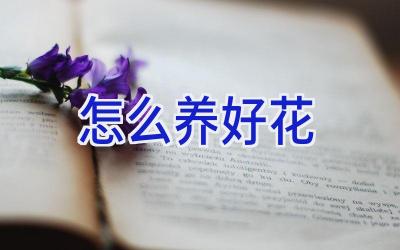 怎么养好花插图