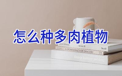 怎么种多肉植物插图 怎么种多肉植物插图