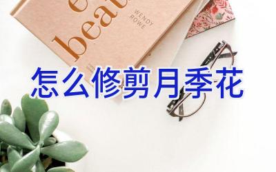 怎么修剪月季花插图 怎么修剪月季花插图