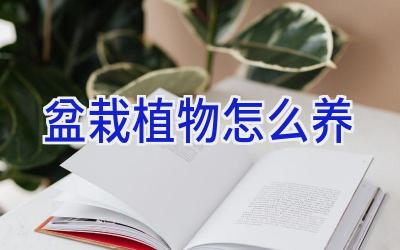 盆栽植物怎么养插图